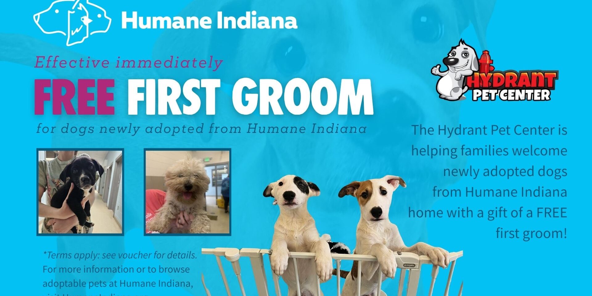 2026 HI and HPC free first groom 1980x1080px