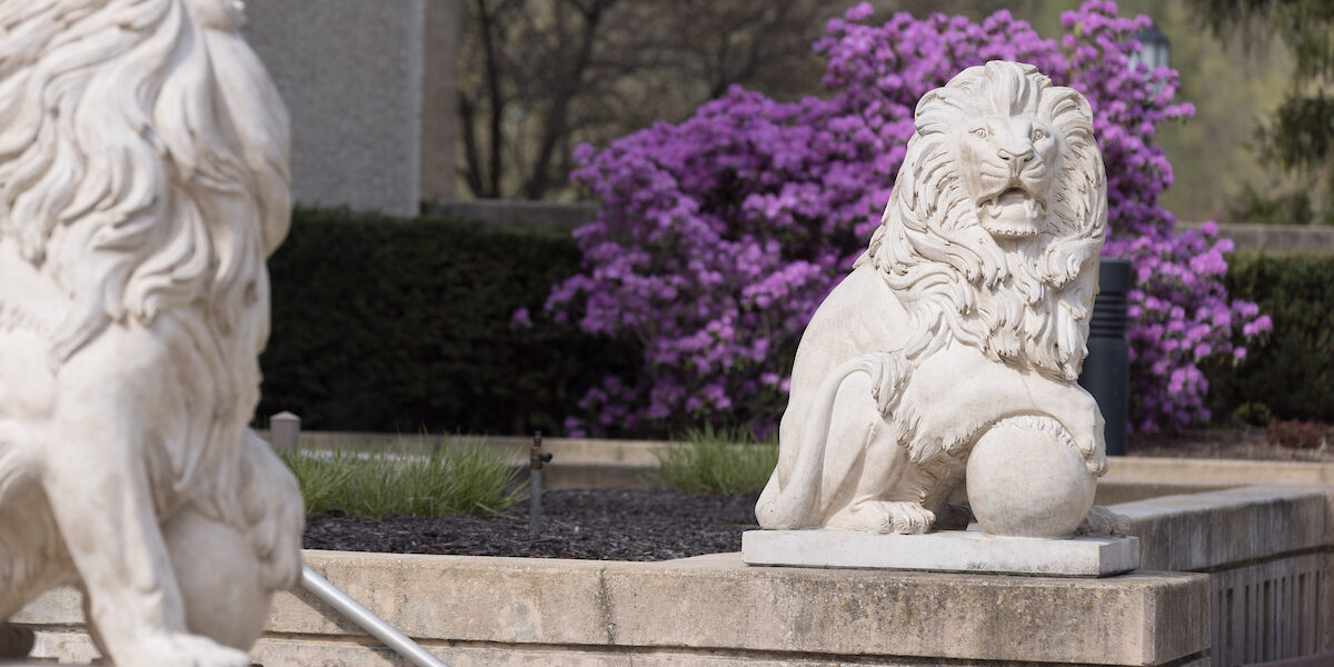 Purdue University Northwest lions around campus. PNW Lion statues